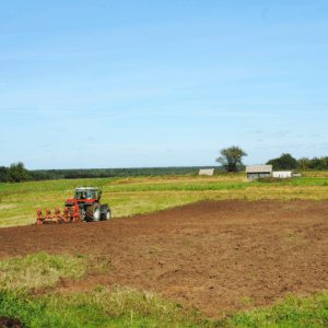 Kmetijstvo in Gozdarstvo